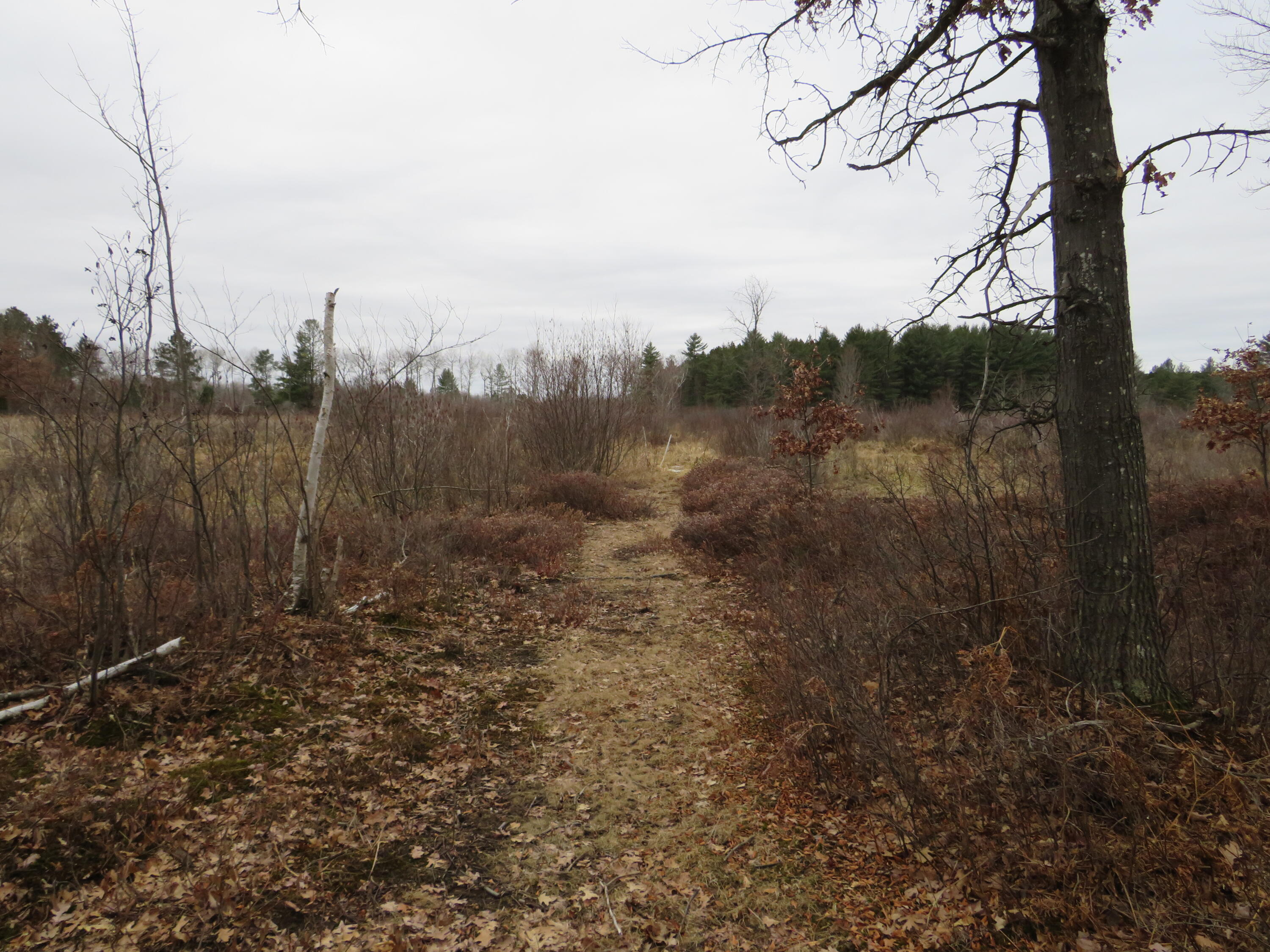 North Dorr Road Merritt, MI 49667 - Photo 11 of 36 IMG_3439