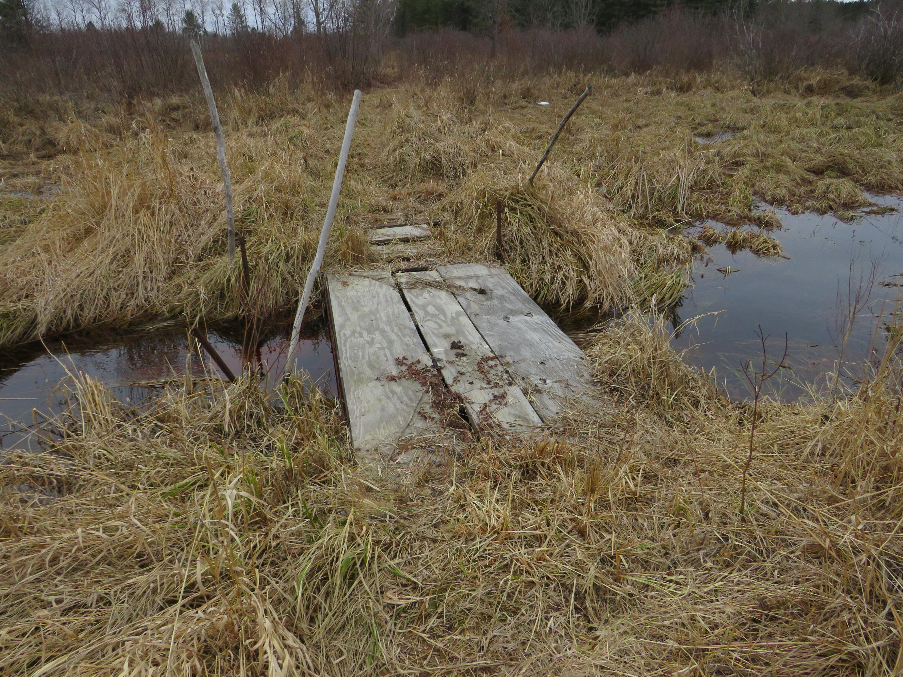 North Dorr Road Merritt, MI 49667 - Photo 12 of 36 IMG_3442