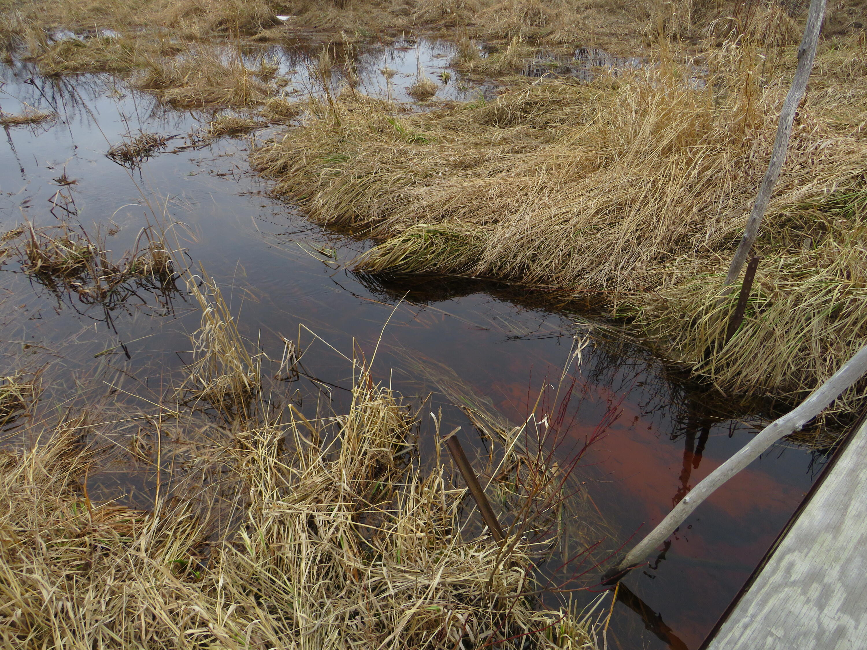 North Dorr Road Merritt, MI 49667 - Photo 13 of 36 IMG_3443