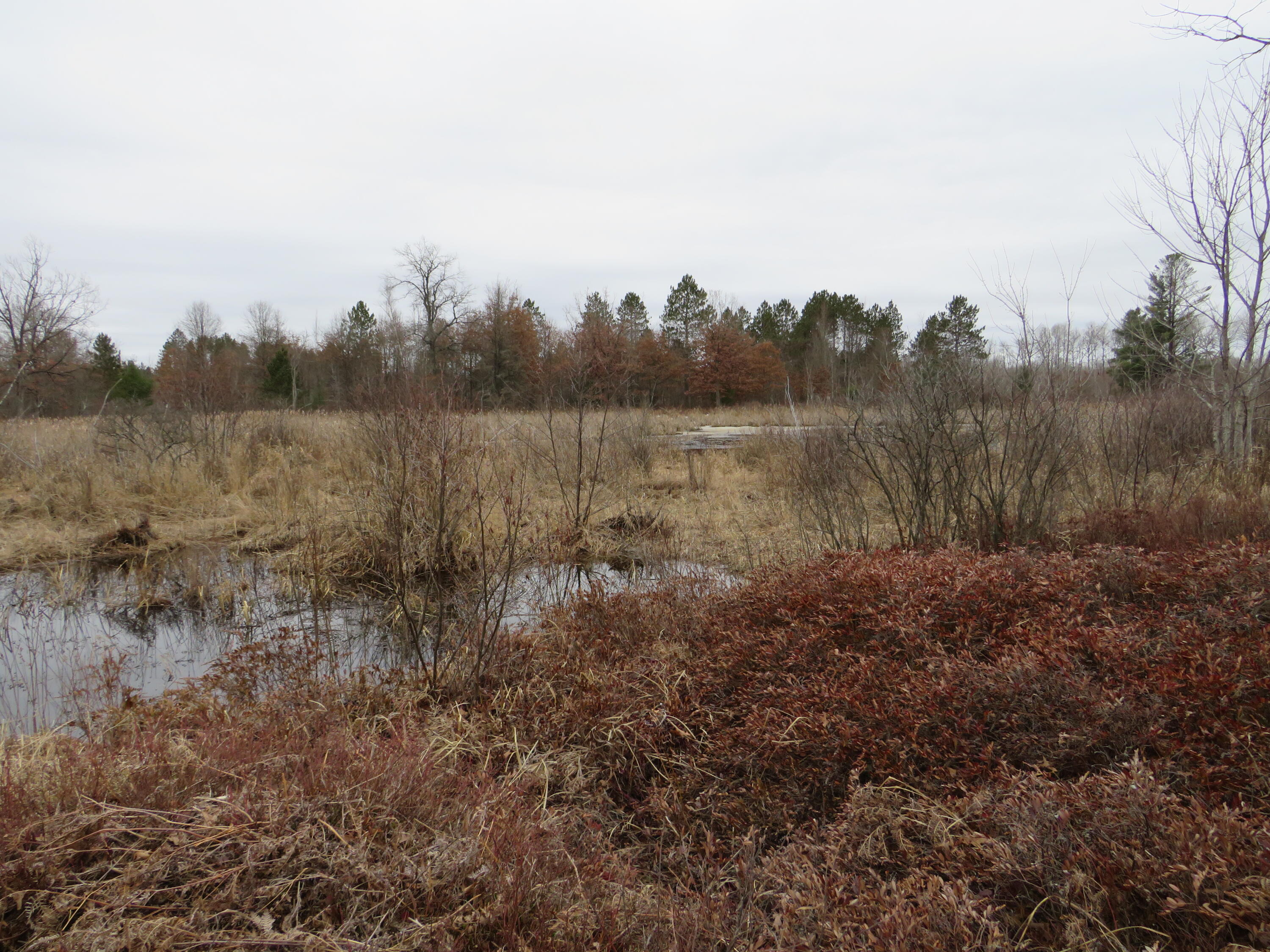 North Dorr Road Merritt, MI 49667 - Photo 14 of 36 IMG_3445