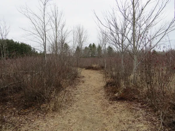$85,000 | North Dorr Road, Merritt, MI 49667