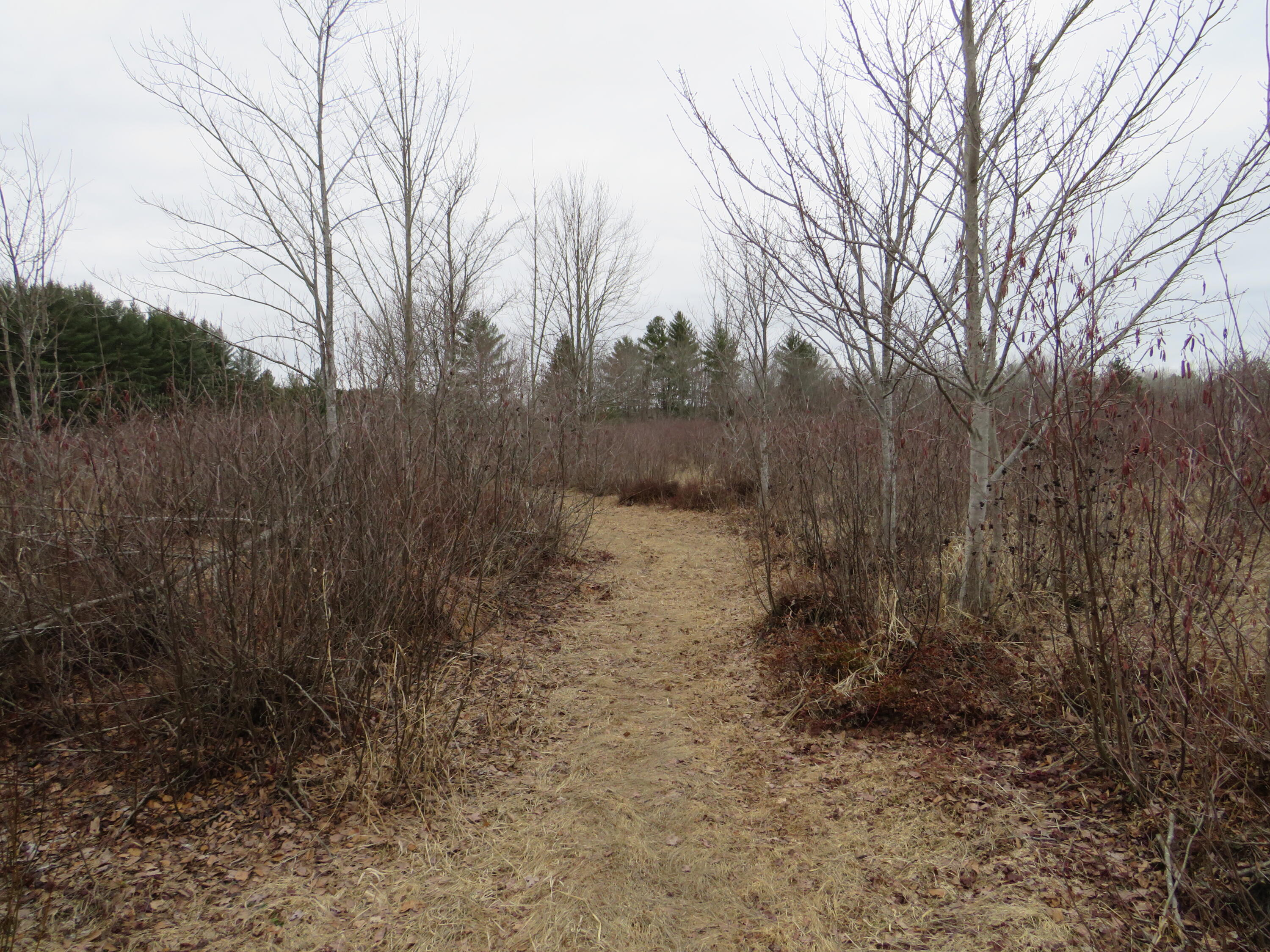 North Dorr Road Merritt, MI 49667 - Photo 15 of 36 IMG_3448