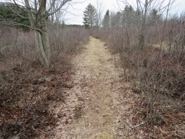 $85,000 | North Dorr Road, Merritt, MI 49667