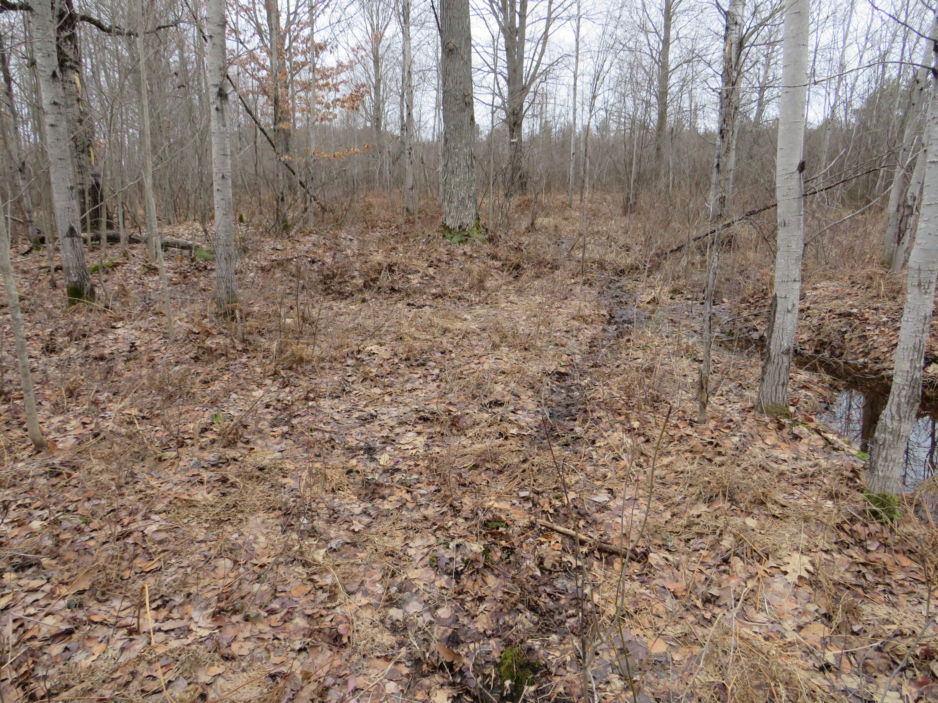 North Dorr Road Merritt, MI 49667 - Photo 2 of 36 IMG_3415