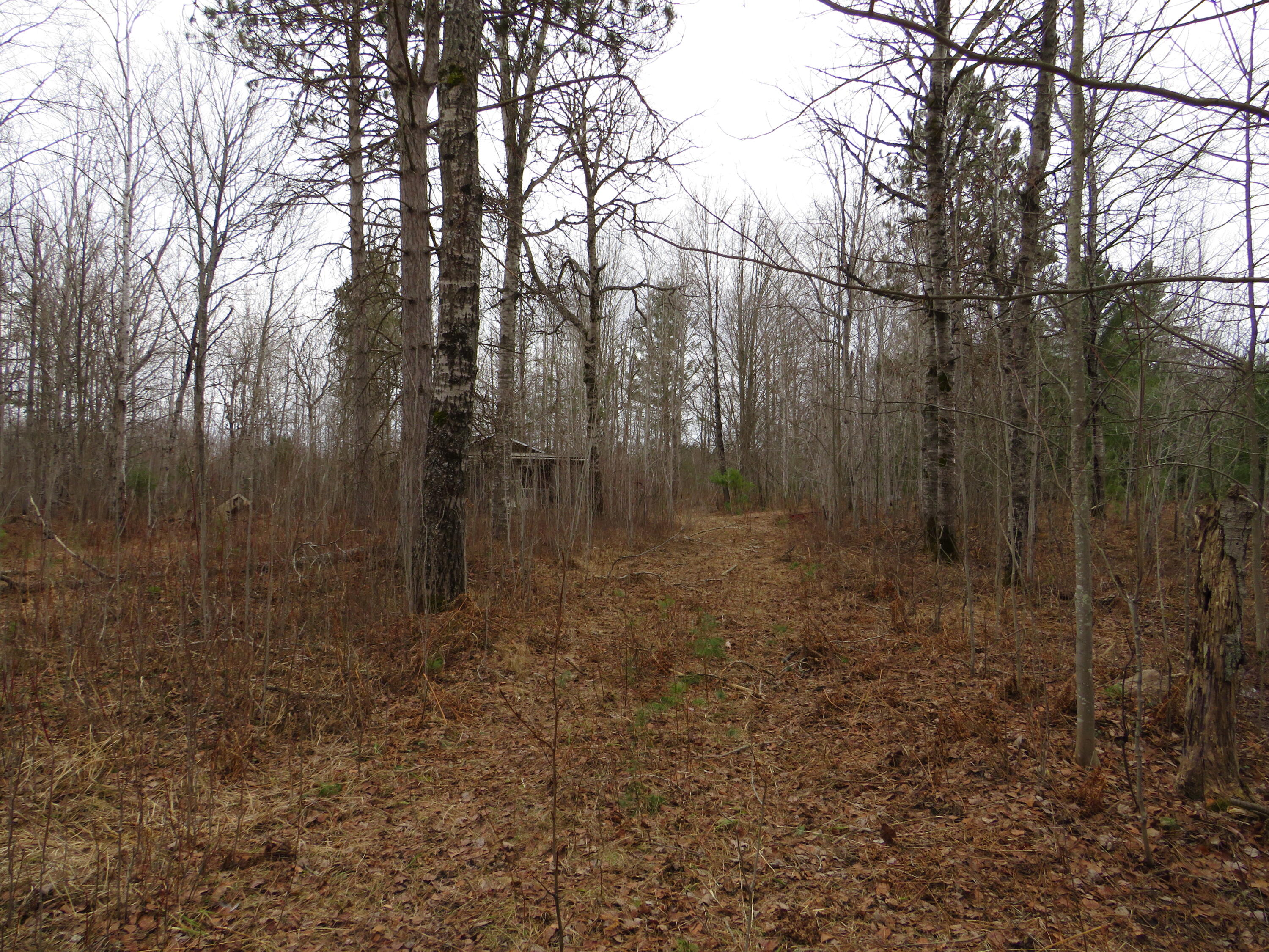 North Dorr Road Merritt, MI 49667 - Photo 27 of 36 IMG_3481