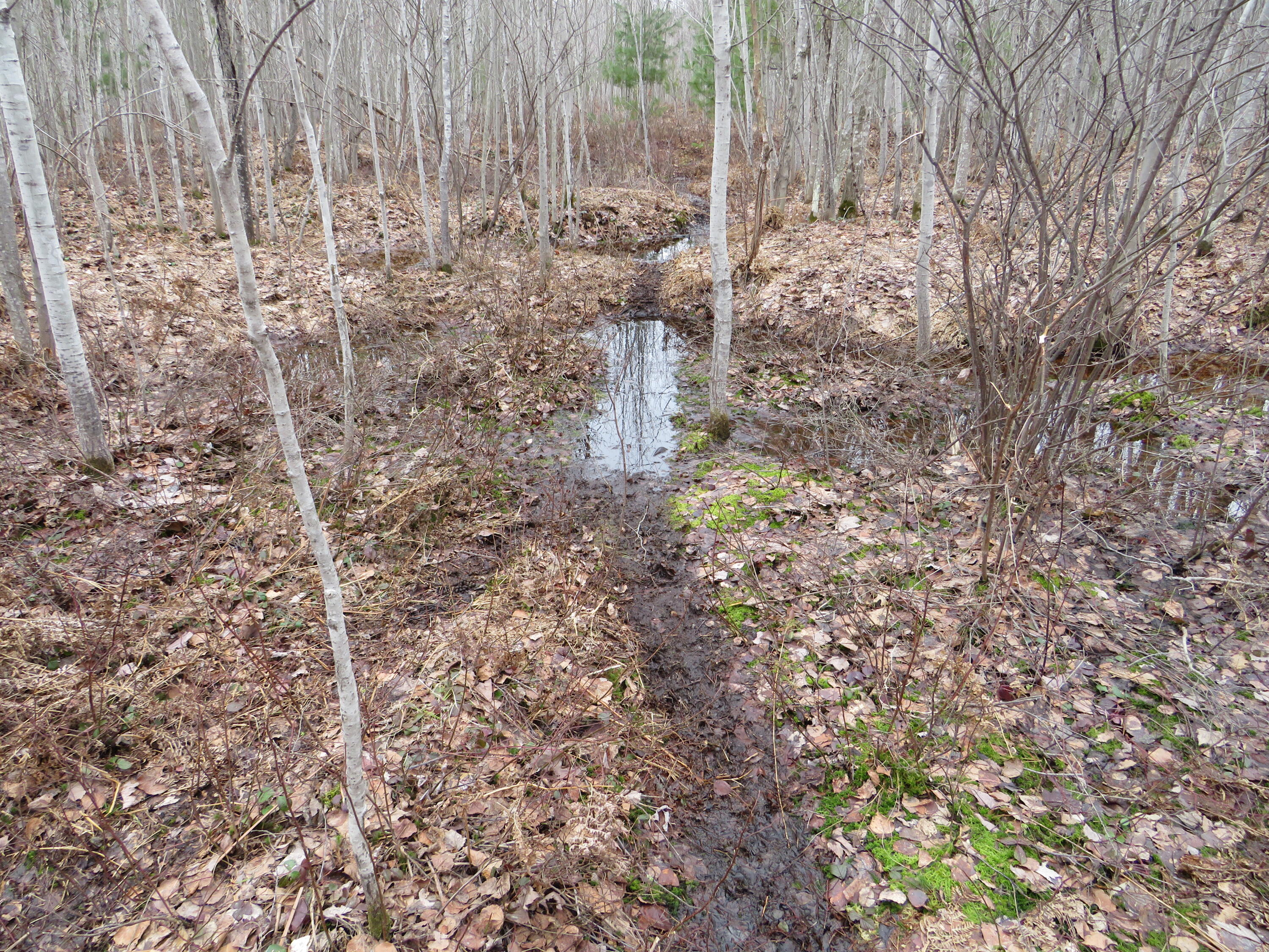 North Dorr Road Merritt, MI 49667 - Photo 28 of 36 IMG_3485