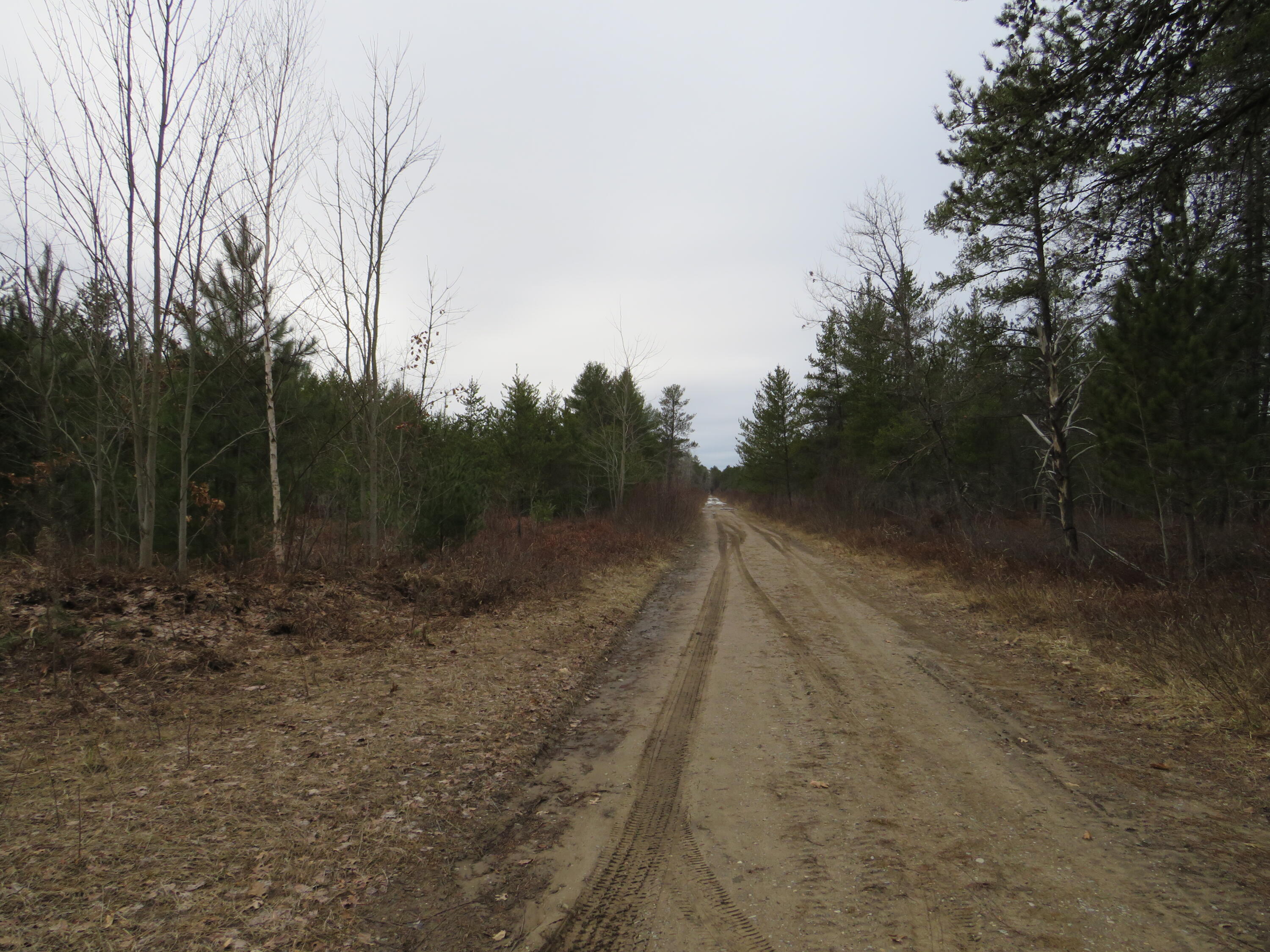 North Dorr Road Merritt, MI 49667 - Photo 29 of 36 IMG_3488