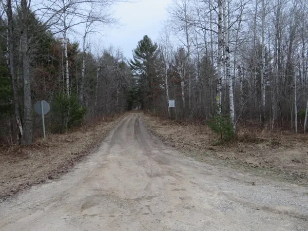 $85,000 | North Dorr Road, Merritt, MI 49667