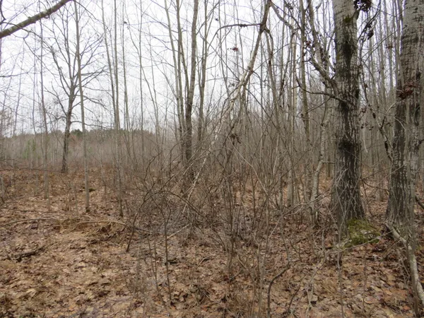 $85,000 | North Dorr Road, Merritt, MI 49667