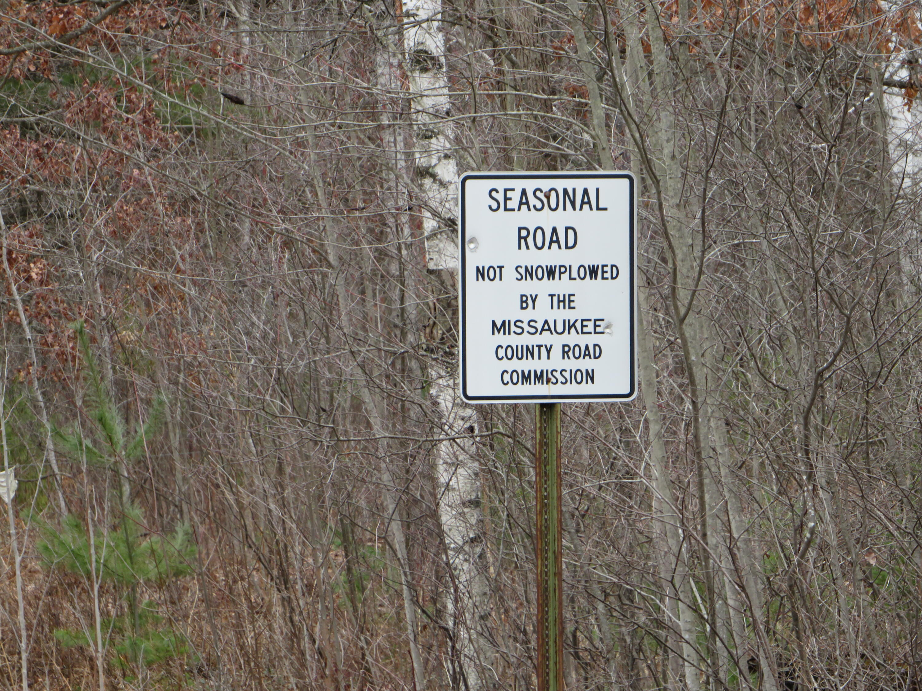 North Dorr Road Merritt, MI 49667 - Photo 31 of 36 IMG_3492