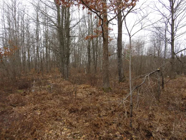 $85,000 | North Dorr Road, Merritt, MI 49667