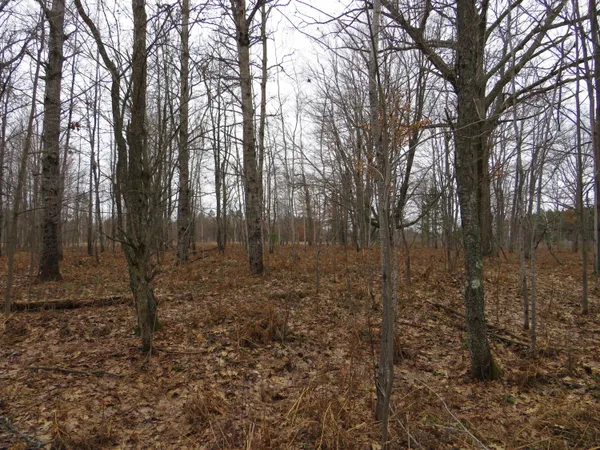 $85,000 | North Dorr Road, Merritt, MI 49667