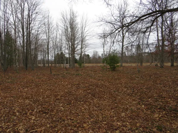 $85,000 | North Dorr Road, Merritt, MI 49667