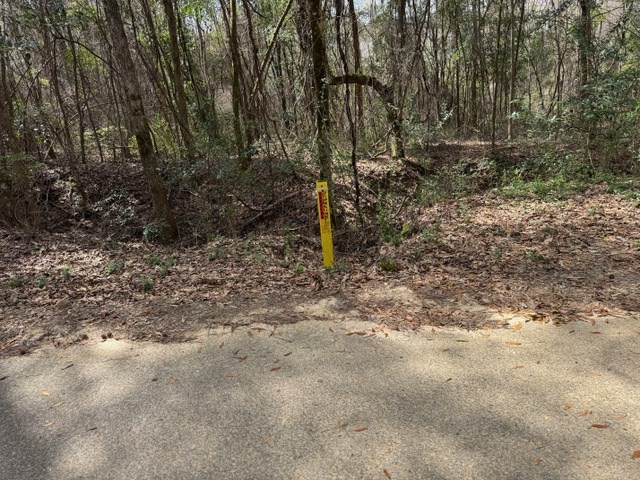 0 Davis Street Elba, AL 36323 - Photo 13 of 14