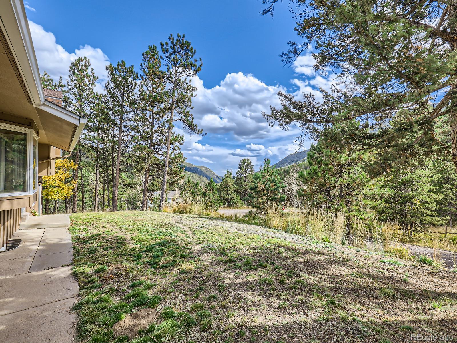 24697 Red Cloud Drive Conifer, CO 80433 - Photo 5 of 28 a view of a big yard with plants and large trees