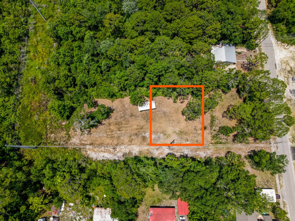 1007 Copasetic Carrabelle, FL 32322 - Photo 7 of 9