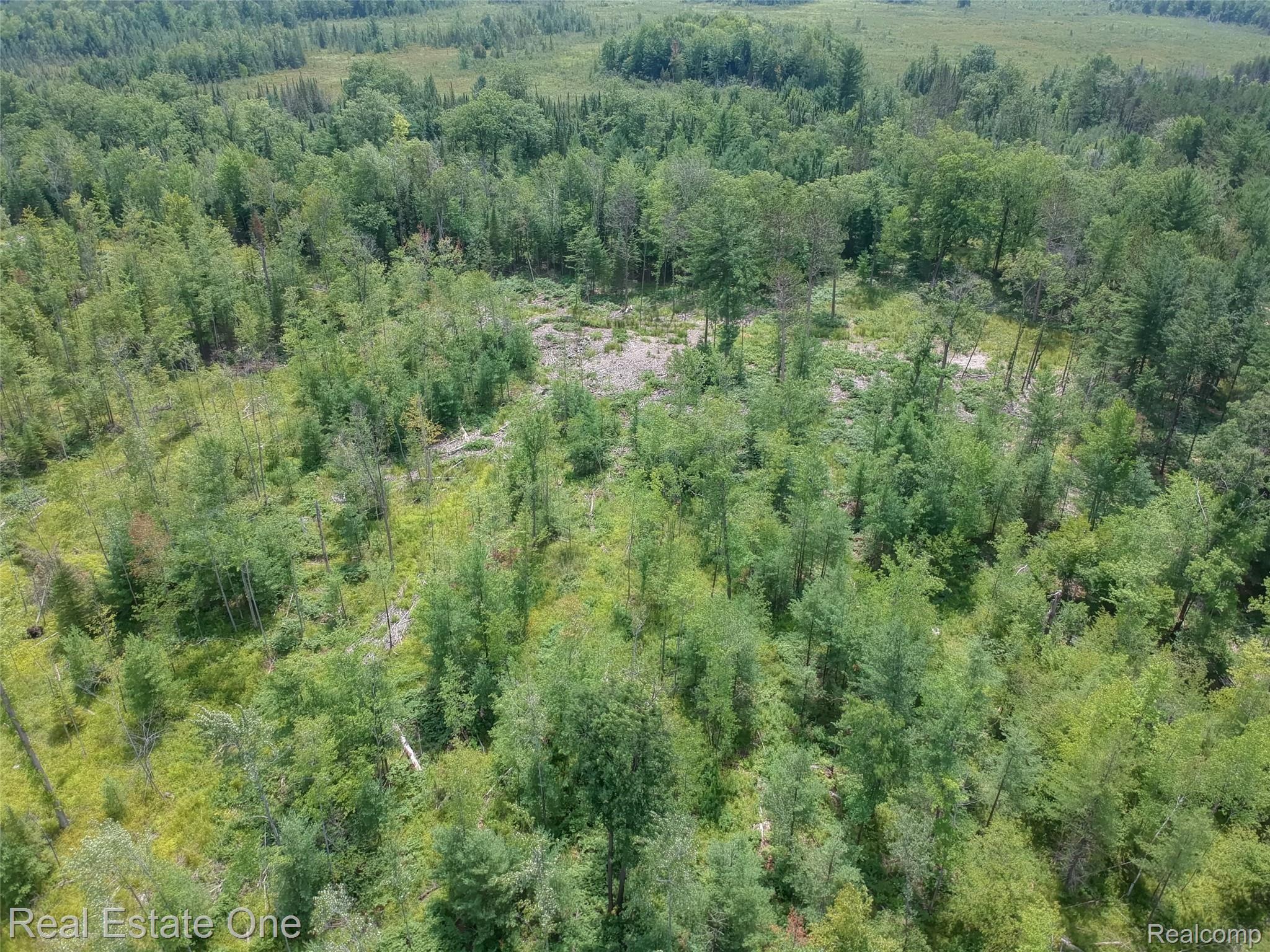 0 South Morrison Road Alger, MI 48610 - Photo 19 of 38 DJI-3440-1-2-MLS.jpg