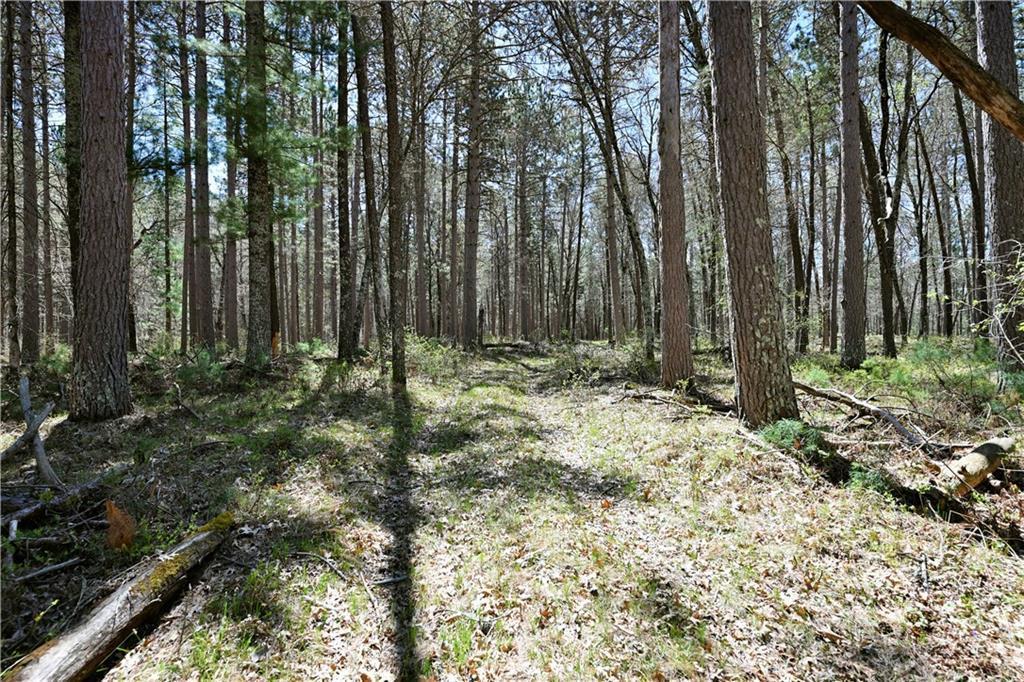 W8096 Dunn Lake Road Spooner, WI 54801 - Photo 18 of 37