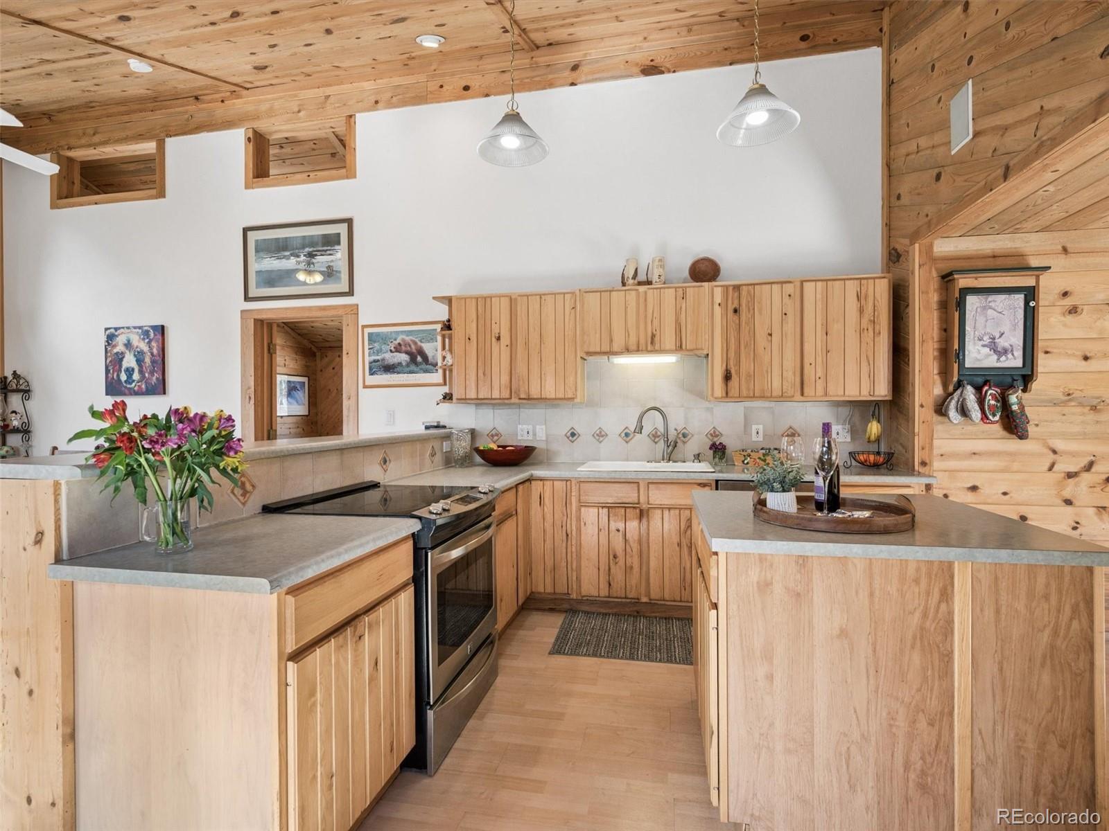 13623 South Wamblee Valley Road Conifer, CO 80433 - Photo 19 of 50