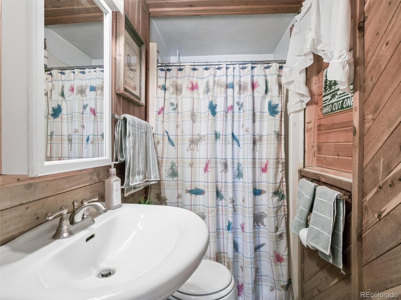 13623 South Wamblee Valley Road Conifer, CO 80433 - Photo 27 of 50