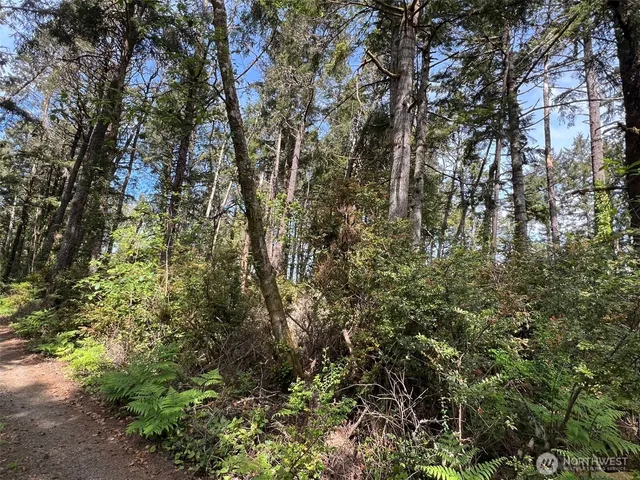 a close up of a tree