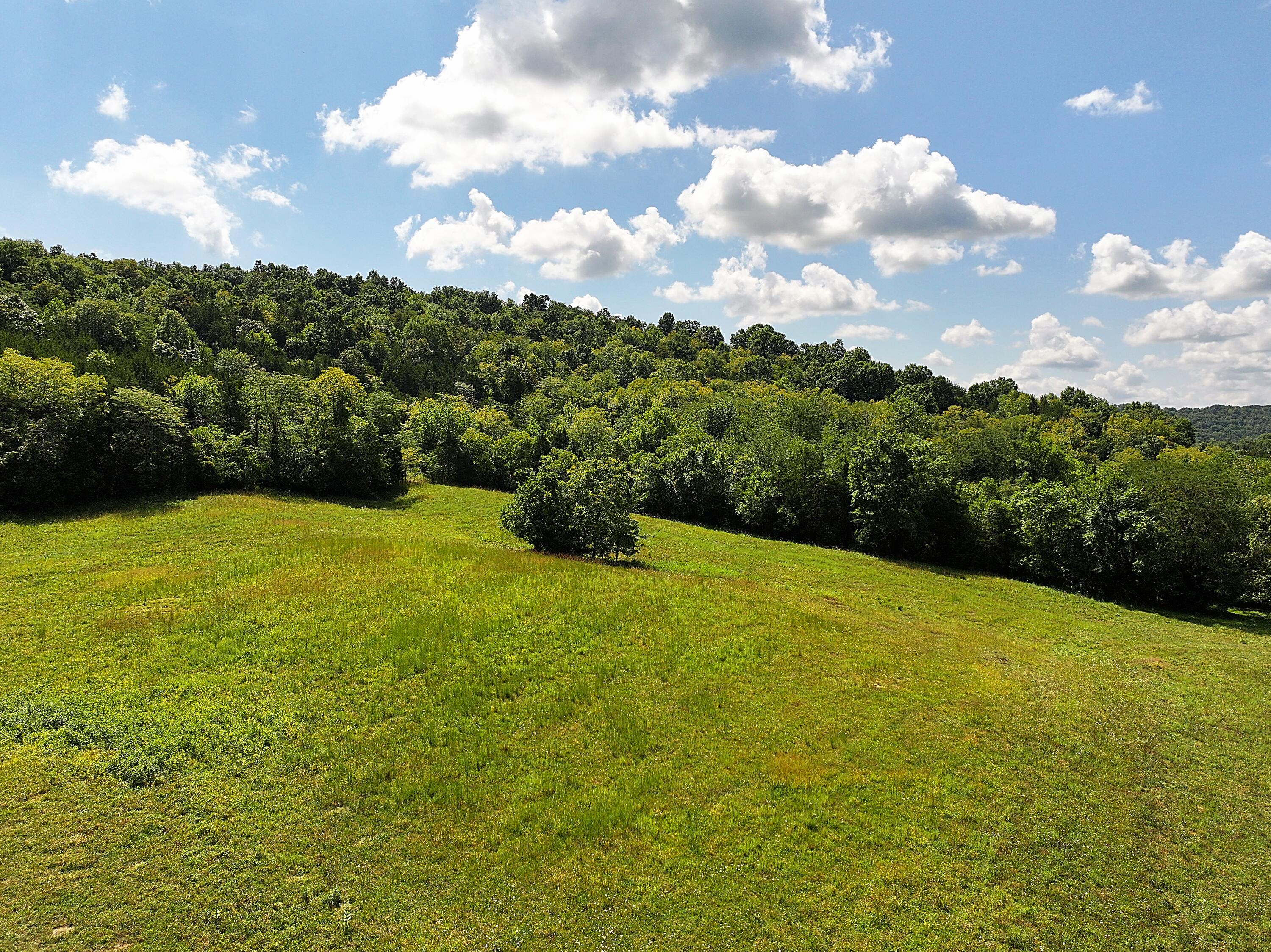 669 Wellsburg Walcott Road Brooksville, KY 41004 - Photo 36 of 42 image00011