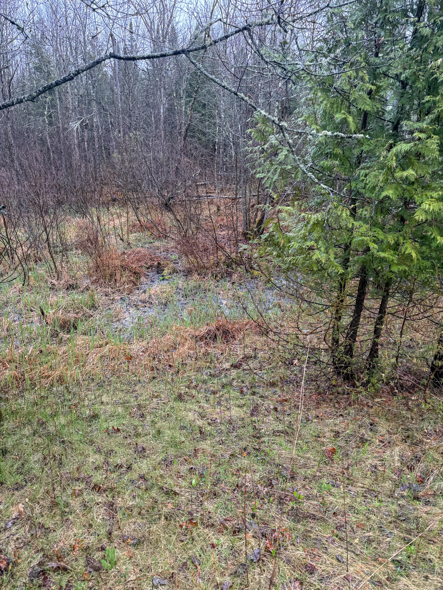 M6-l18 Troy Road Detroit, ME 04929 - Photo 12 of 18 12