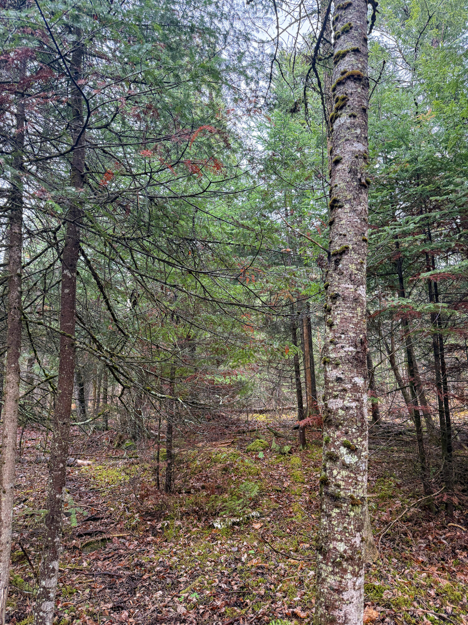 M6-l18 Troy Road Detroit, ME 04929 - Photo 14 of 18 14