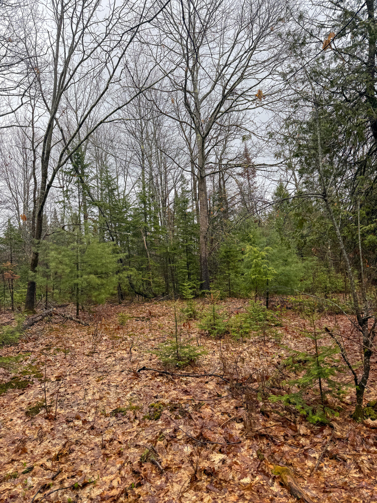 M6-l18 Troy Road Detroit, ME 04929 - Photo 16 of 18 16
