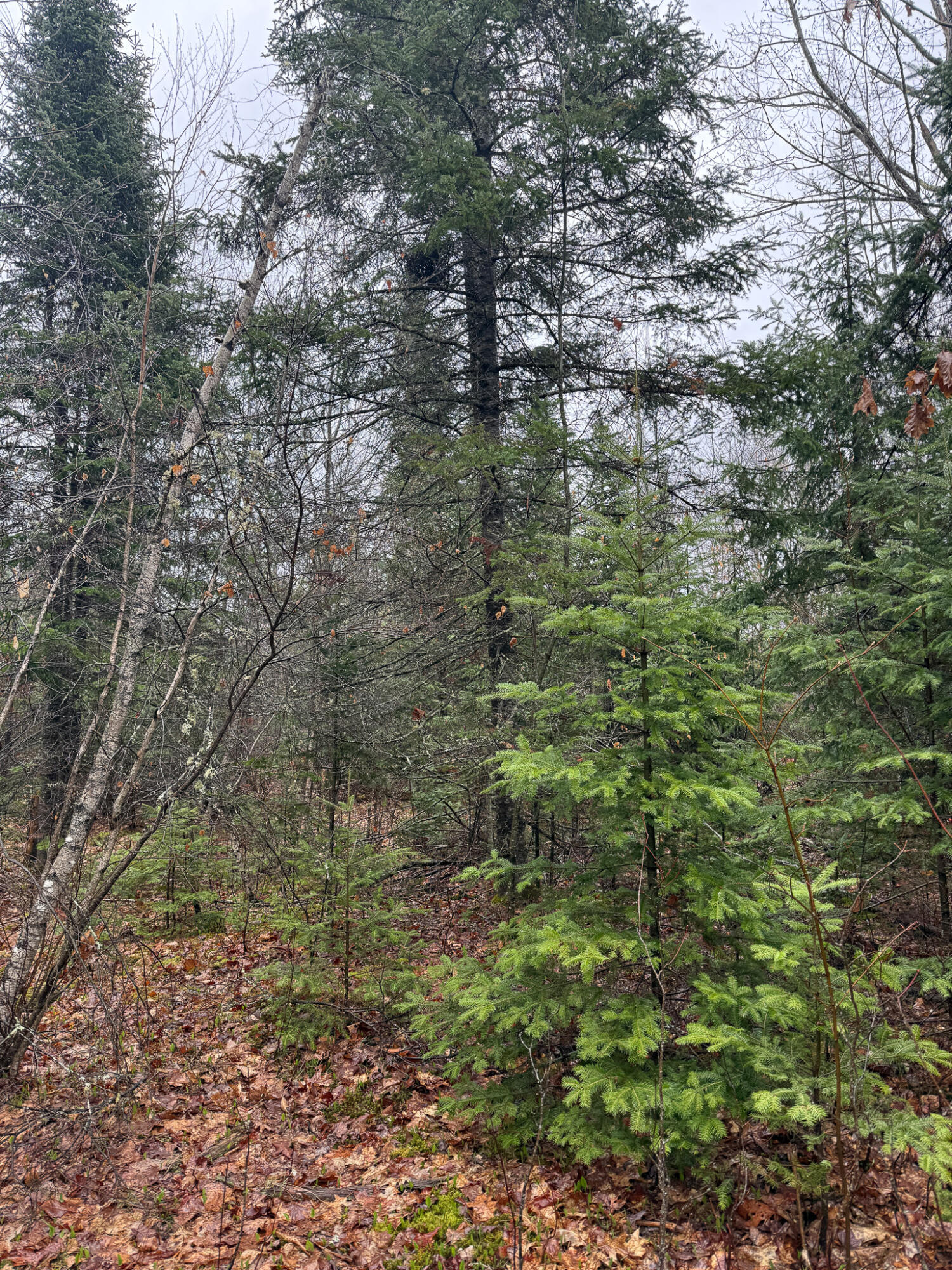 M6-l18 Troy Road Detroit, ME 04929 - Photo 17 of 18 17