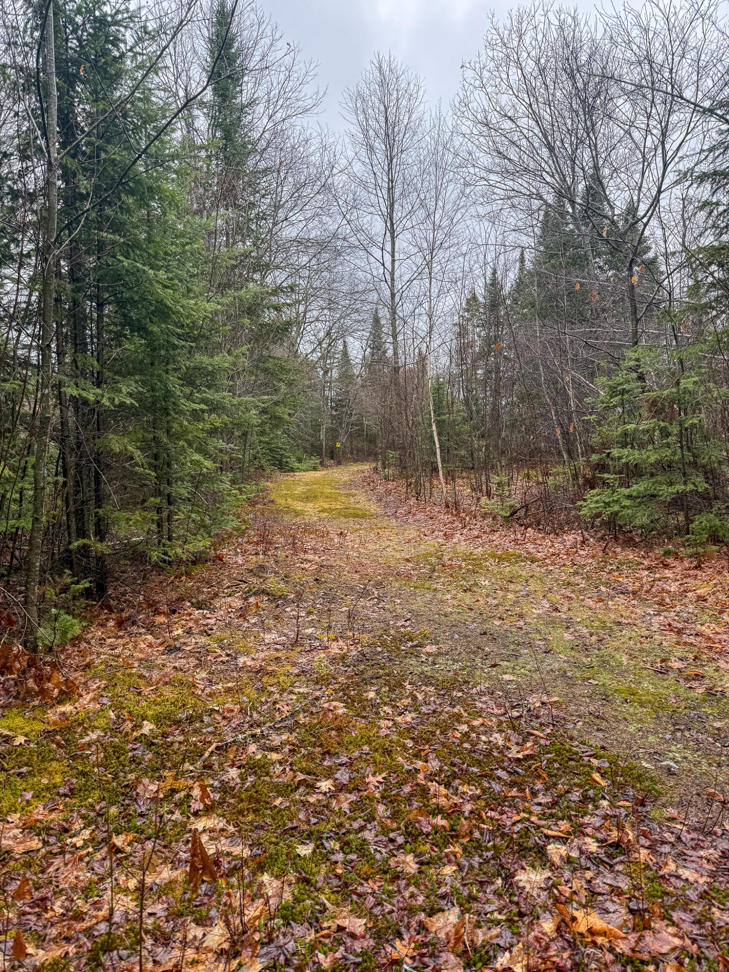 M6-l18 Troy Road Detroit, ME 04929 - Photo 18 of 18 18
