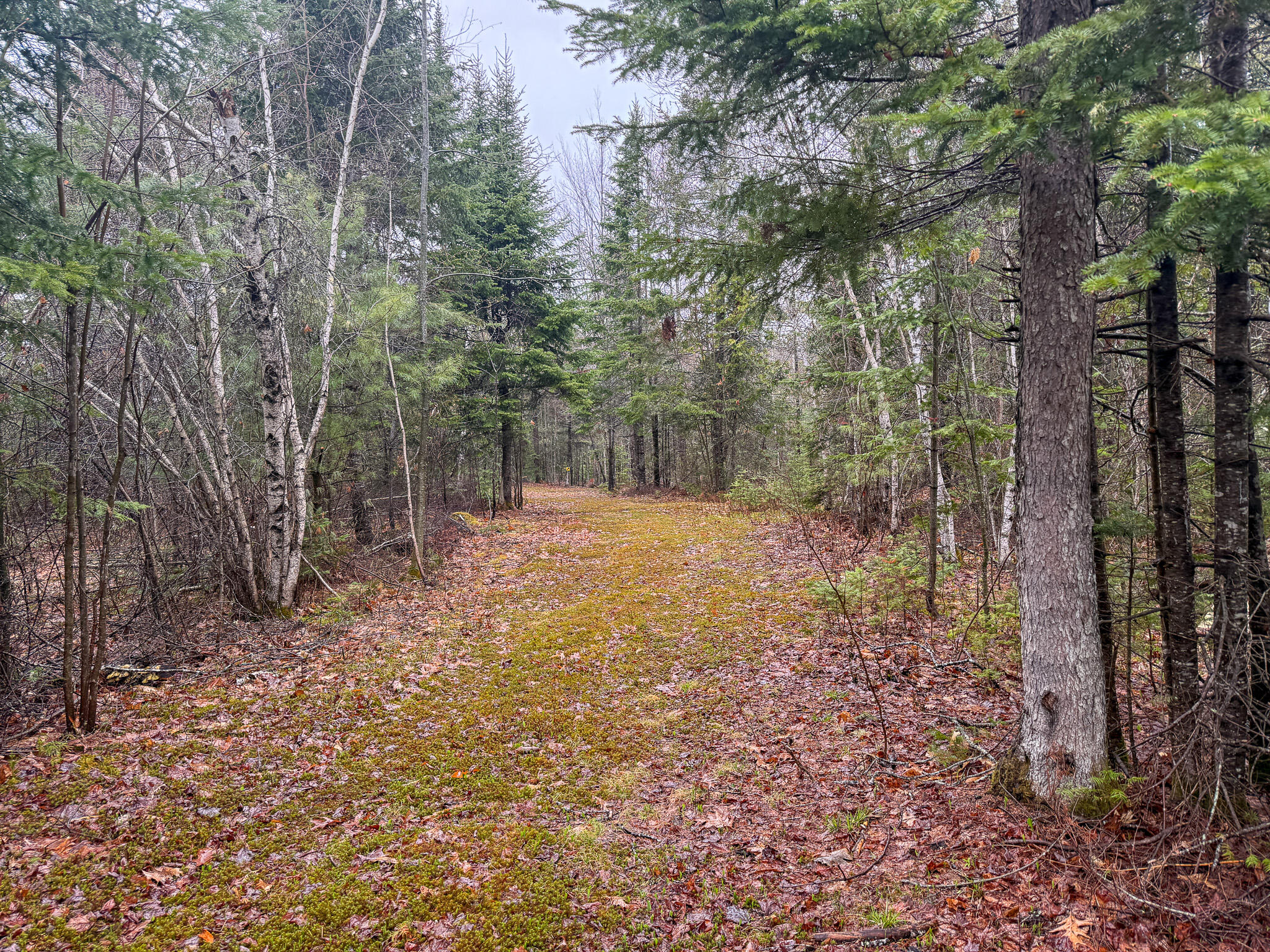 M6-l18 Troy Road Detroit, ME 04929 - Photo 2 of 18 2