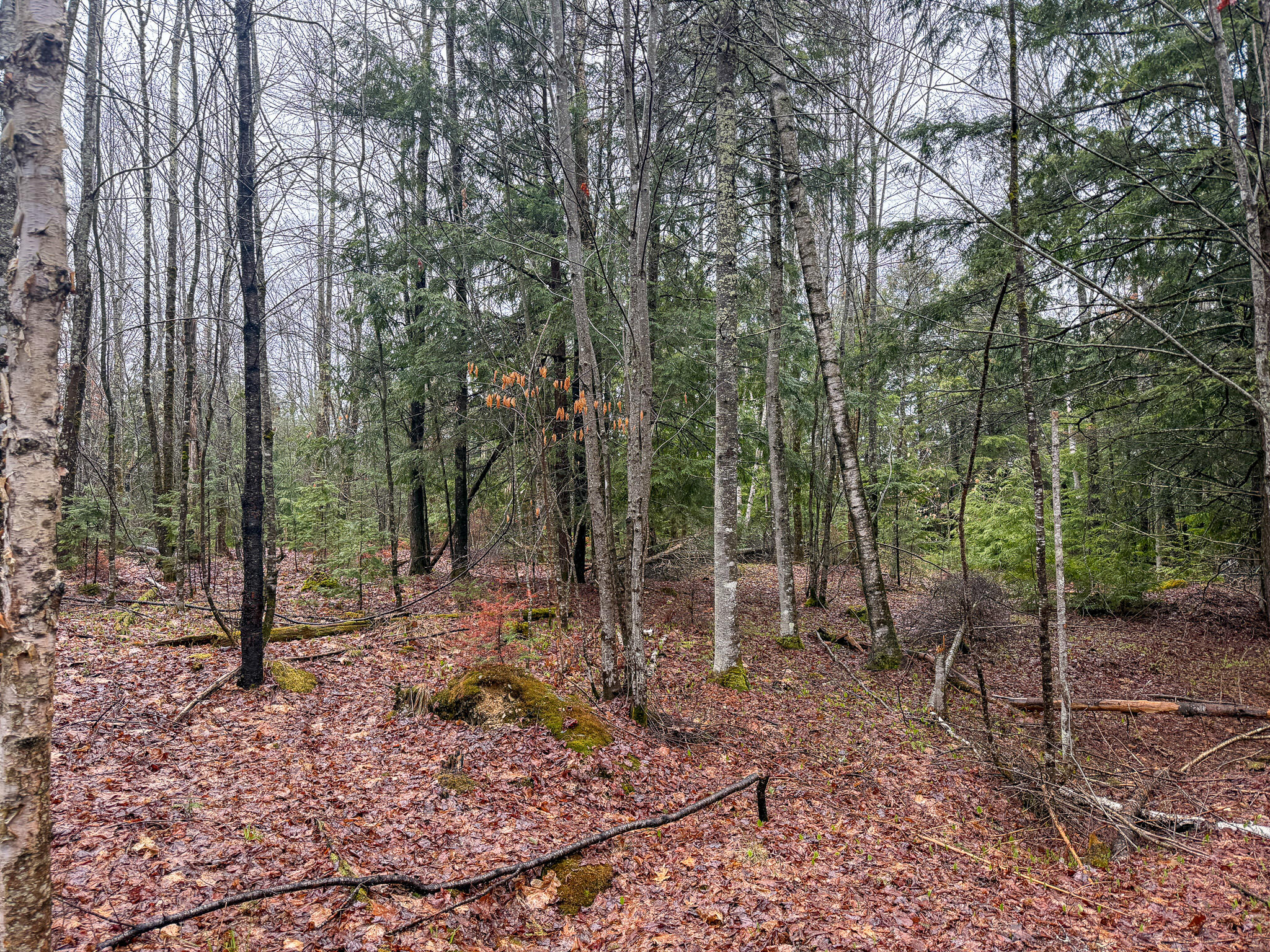 M6-l18 Troy Road Detroit, ME 04929 - Photo 3 of 18 3