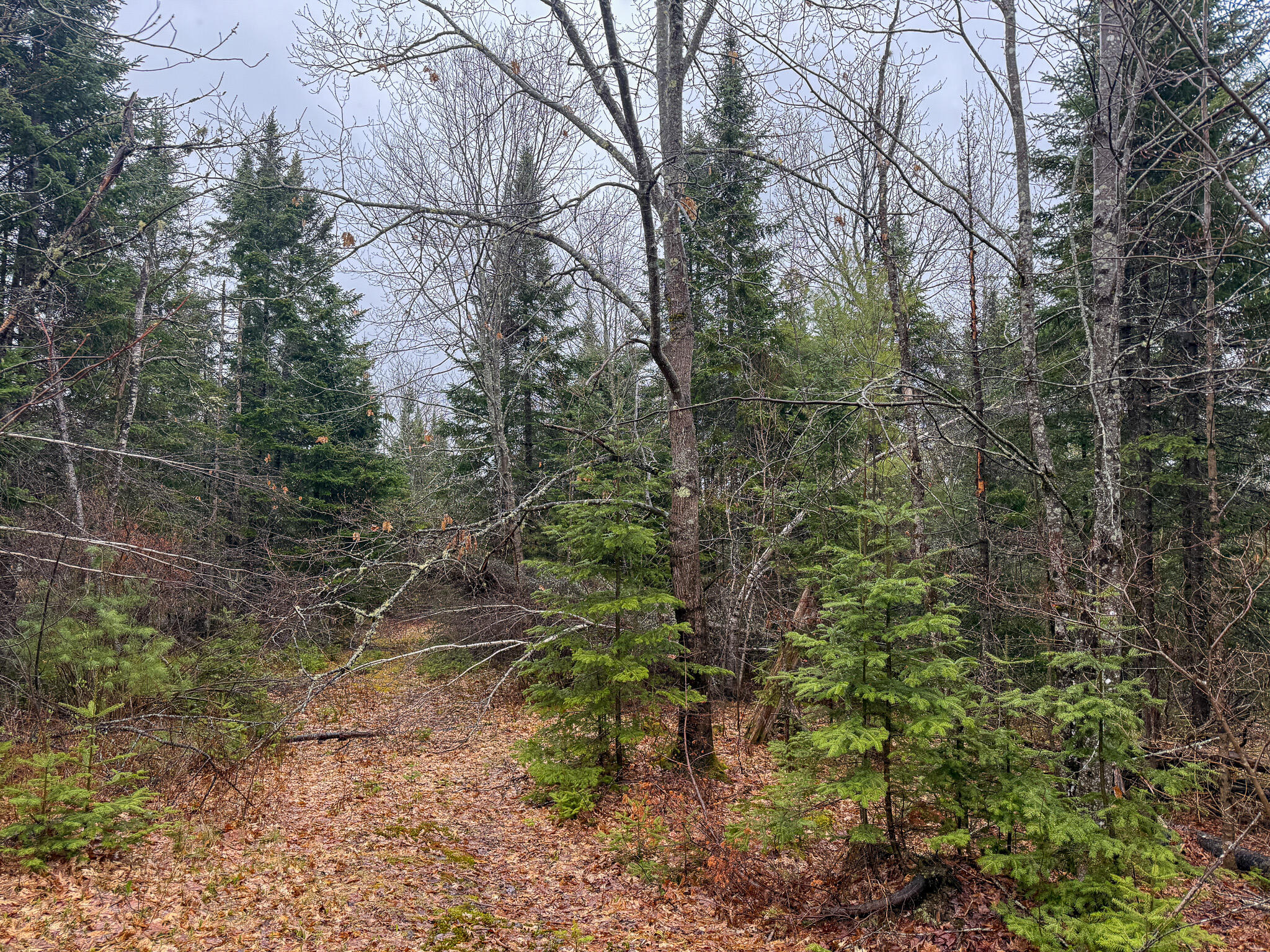 M6-l18 Troy Road Detroit, ME 04929 - Photo 5 of 18 5