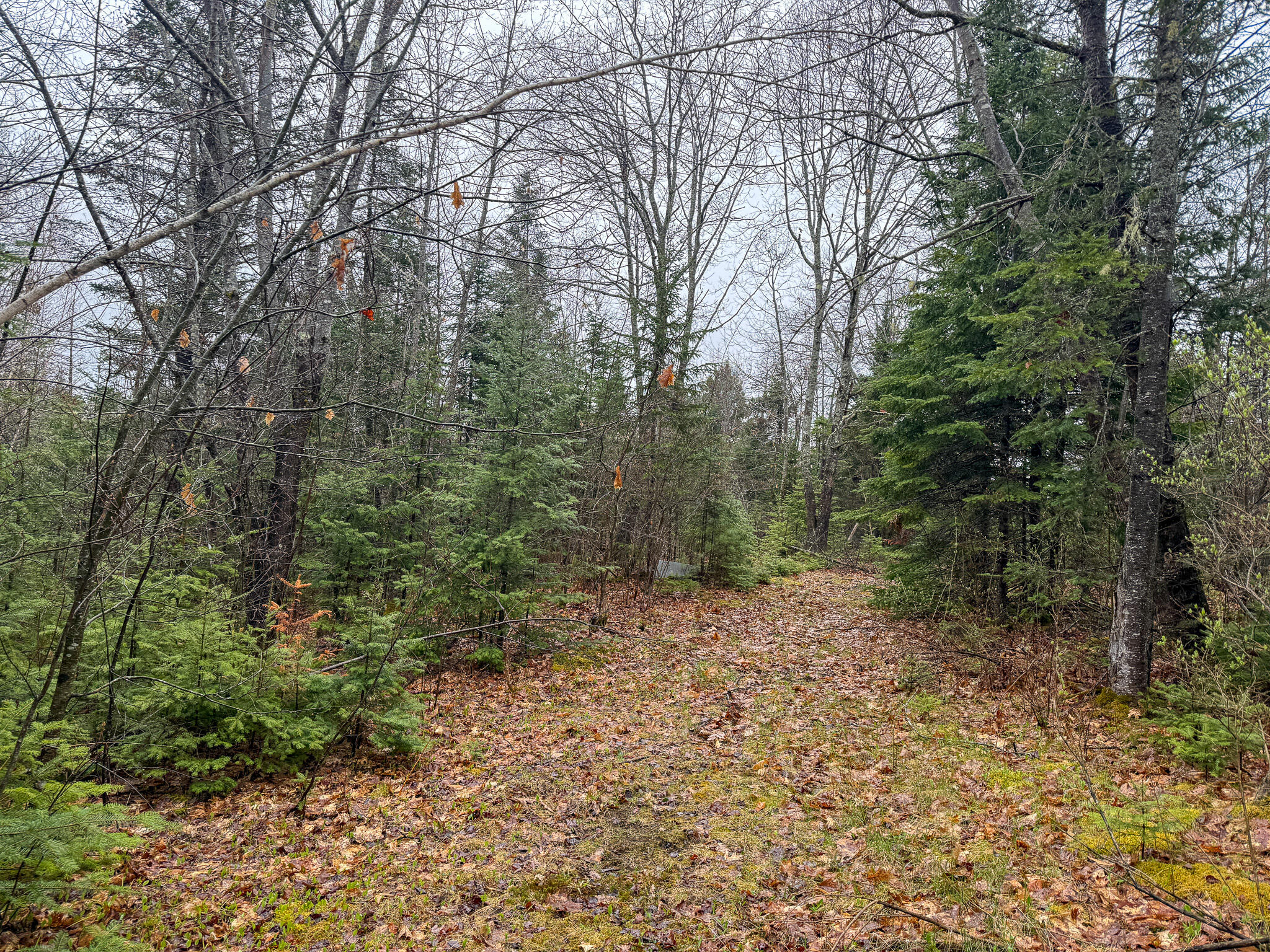 M6-l18 Troy Road Detroit, ME 04929 - Photo 6 of 18 6