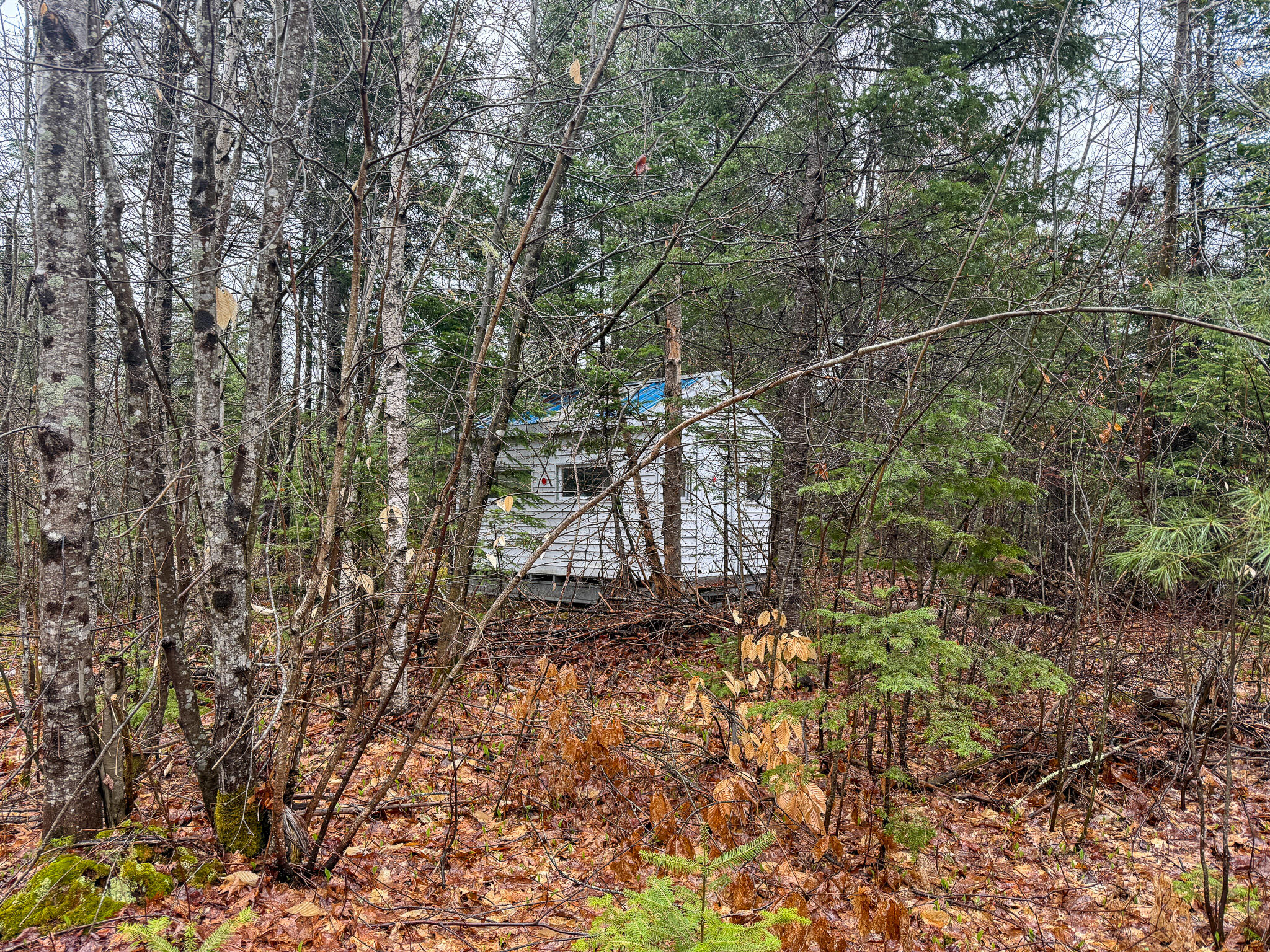 M6-l18 Troy Road Detroit, ME 04929 - Photo 7 of 18 7