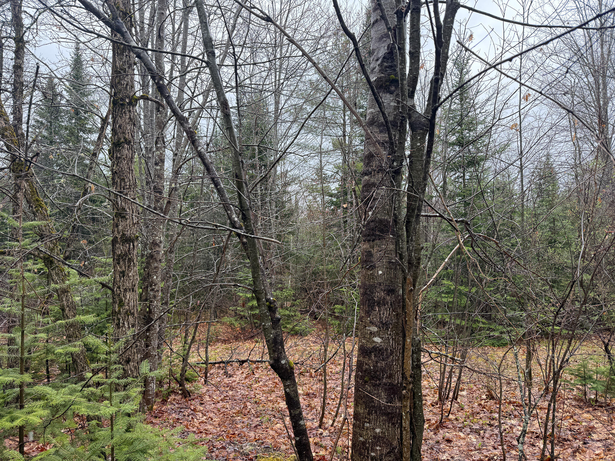 M6-l18 Troy Road Detroit, ME 04929 - Photo 10 of 18 10