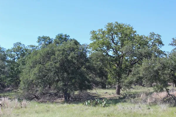 $249,000 | 210 Apache Trace Northwest, Harper, TX 78631