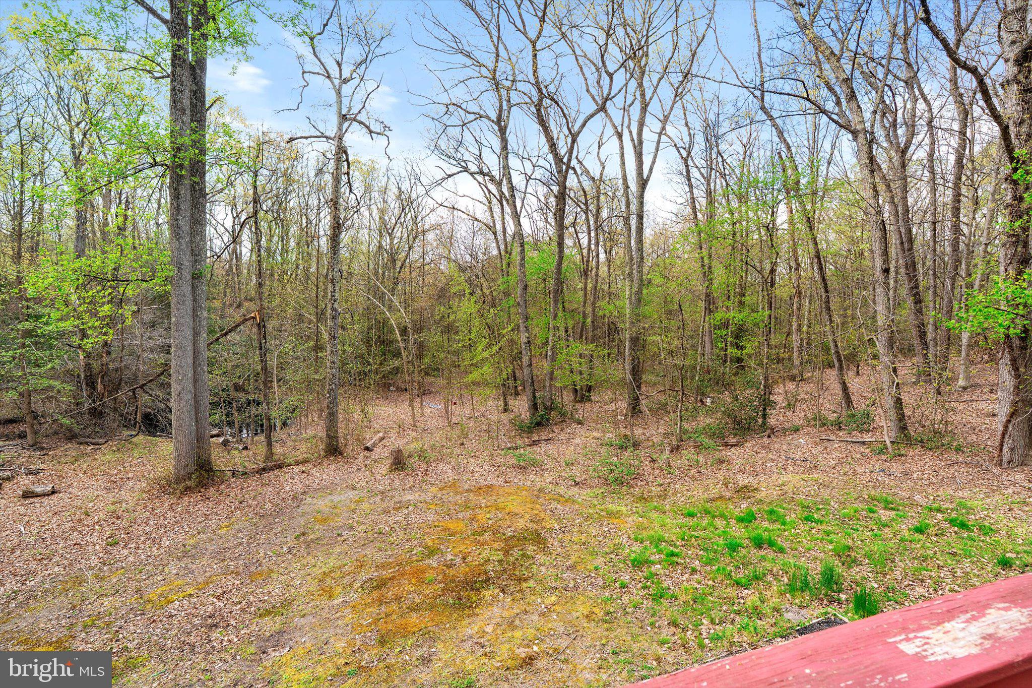 48 Tower Road New Egypt, NJ 08533 - Photo 22 of 24