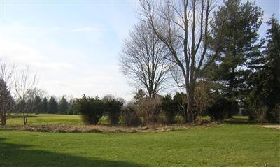 51778 Johnson Road Three Rivers, MI 49093 - Photo 4 of 20 Additional Photo