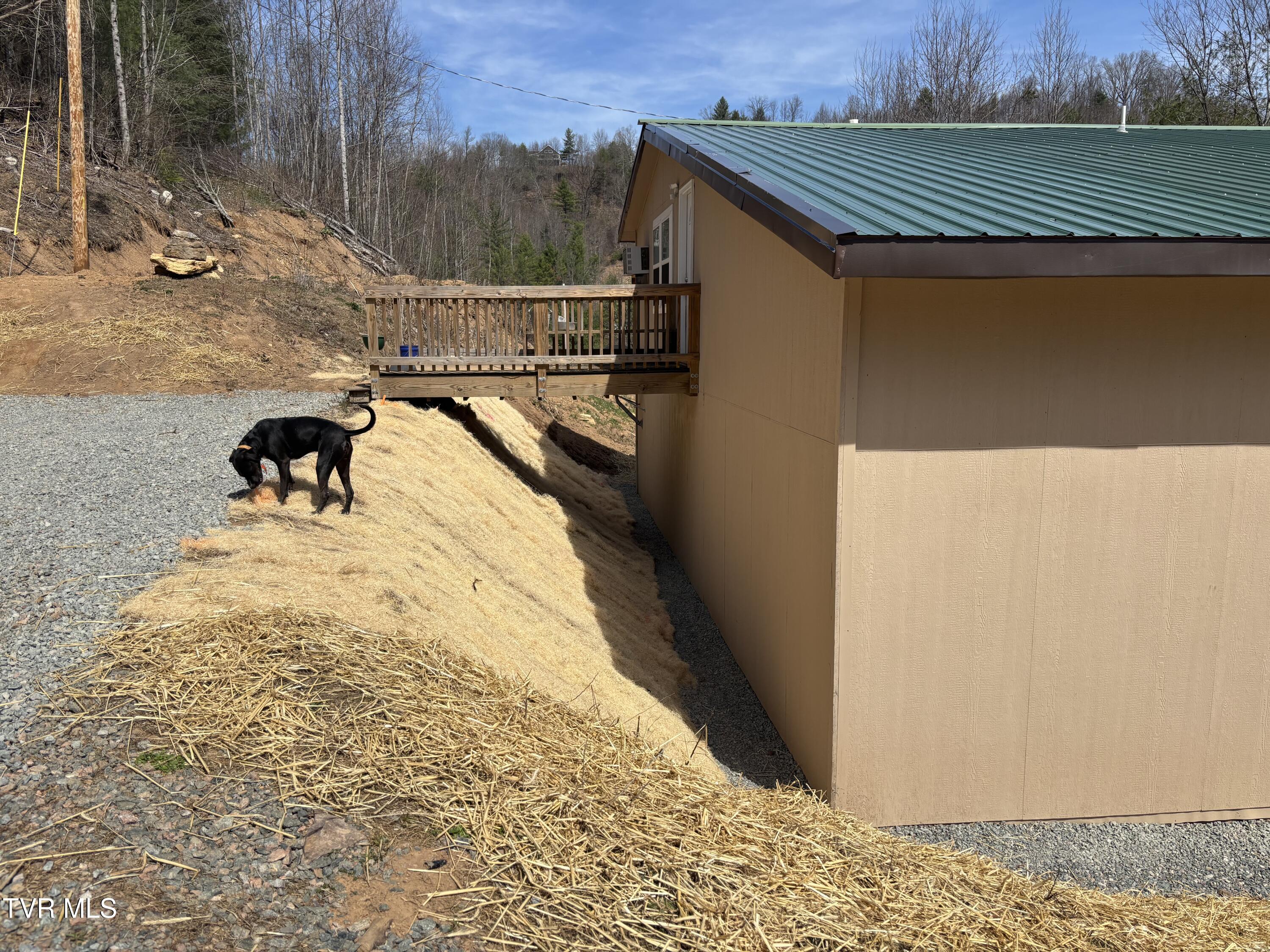 202 Greer Branch Road Laurel Bloomery, TN 37680 - Photo 4 of 32 IMG_5286