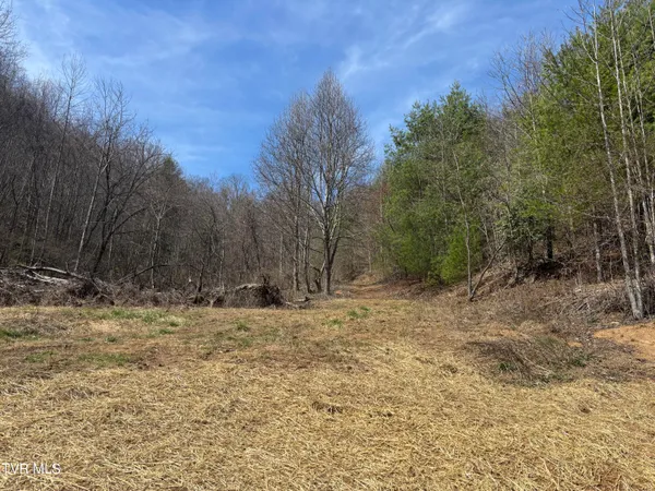 $350,000 | 202 Greer Branch Road, Laurel Bloomery, TN 37680
