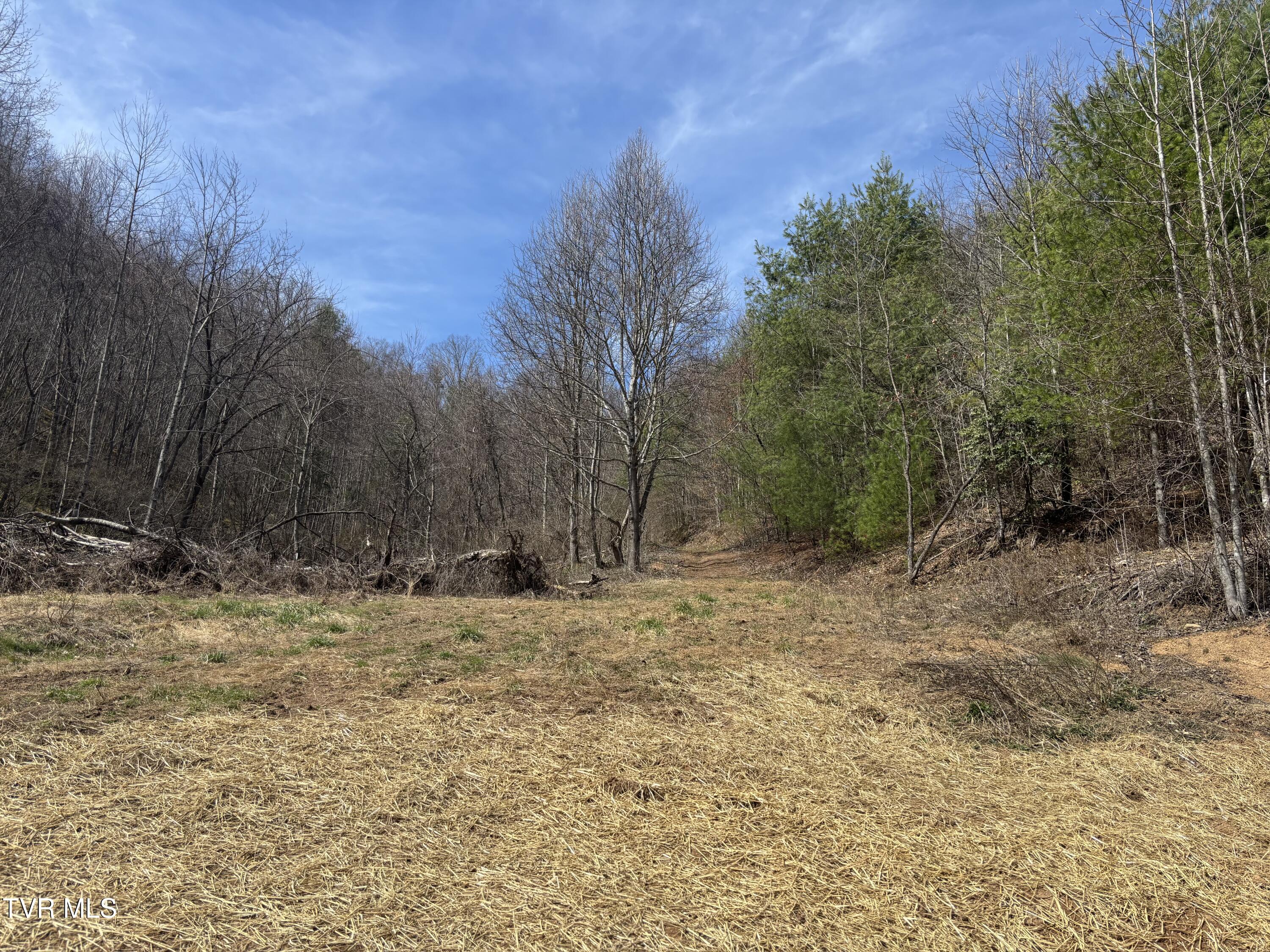 202 Greer Branch Road Laurel Bloomery, TN 37680 - Photo 5 of 32 IMG_5287