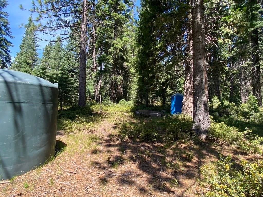 3-e-44 Red Fir Road McCloud, CA 96057 - Photo 5 of 32 Gallery Image 5