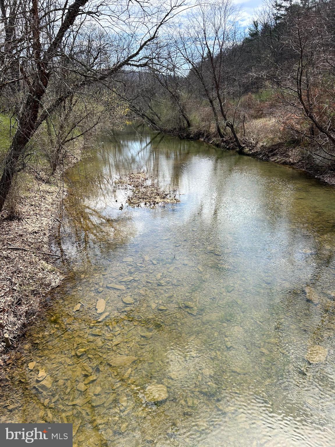 a view of yard with green space