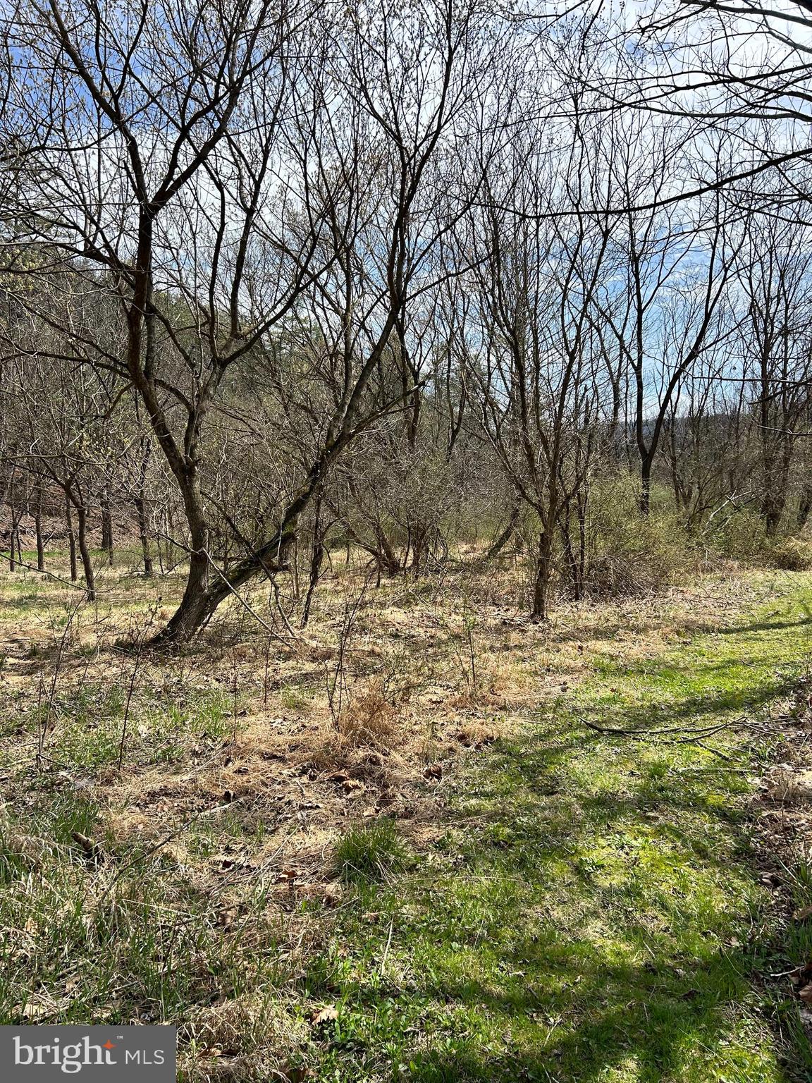 1150 Purcell Road Artemas, PA 17211 - Photo 13 of 19 a view of yard covered with snow