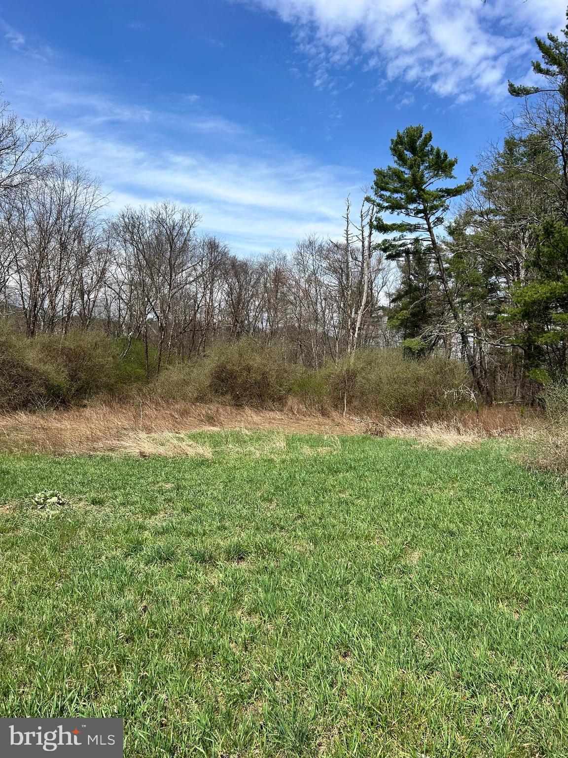 1150 Purcell Road Artemas, PA 17211 - Photo 14 of 19 a view of a lake with a yard