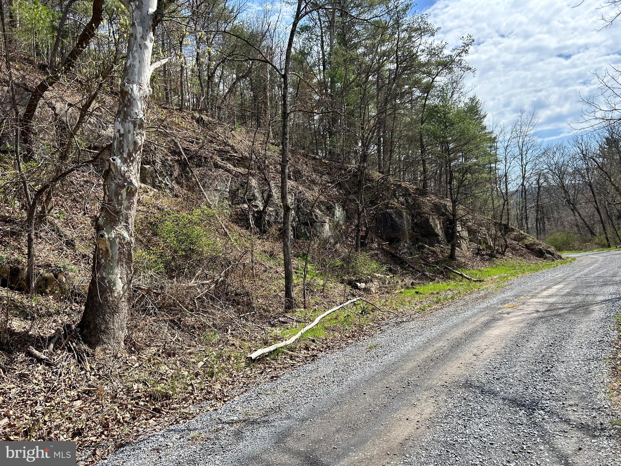 1150 Purcell Road Artemas, PA 17211 - Photo 16 of 19 a backyard of a house with lots of green space