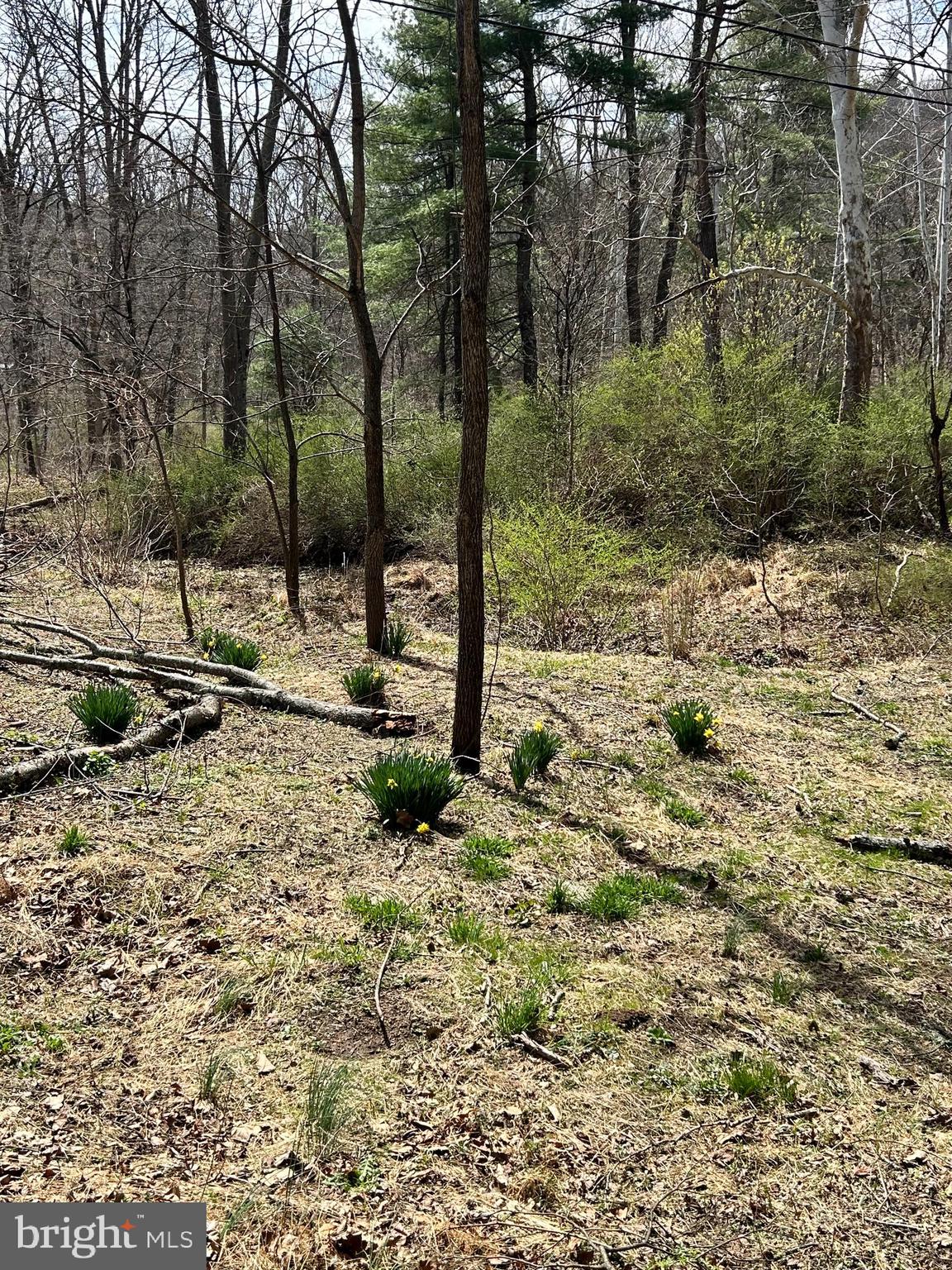 1150 Purcell Road Artemas, PA 17211 - Photo 17 of 19 a view of a backyard of the house