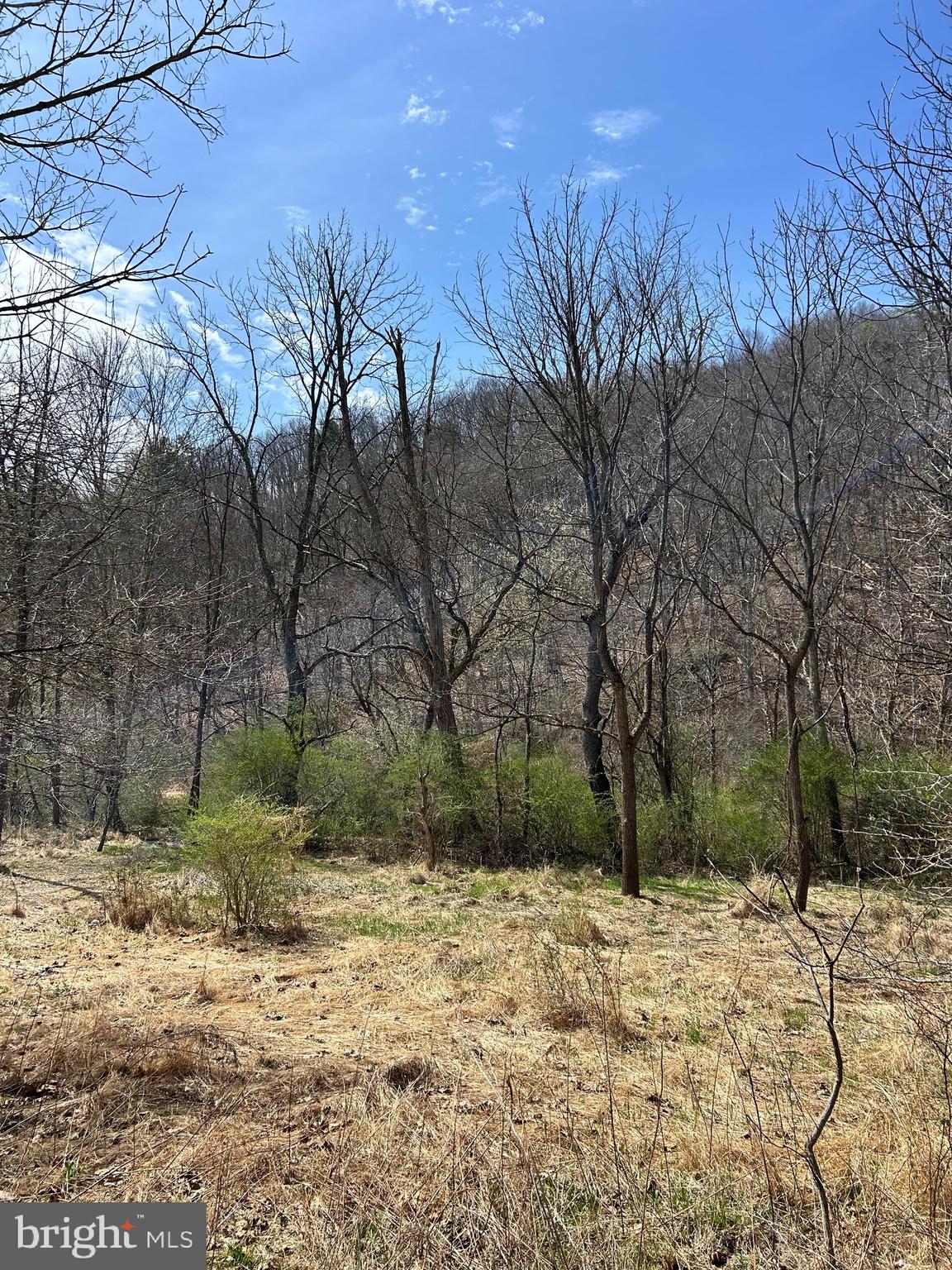 1150 Purcell Road Artemas, PA 17211 - Photo 2 of 19 a view of a yard covered with snow in the yard